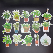 Load image into Gallery viewer, Entire "Natural" Collection (15 pack)