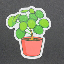 Load image into Gallery viewer, Chinese Money Plant Sticker