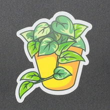 Load image into Gallery viewer, Pothos Plant Sticker