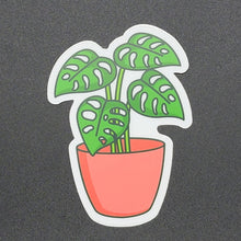 Load image into Gallery viewer, Swiss Cheese Plant Sticker