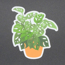 Load image into Gallery viewer, "Natural Style" Swiss Cheese Plant Sticker