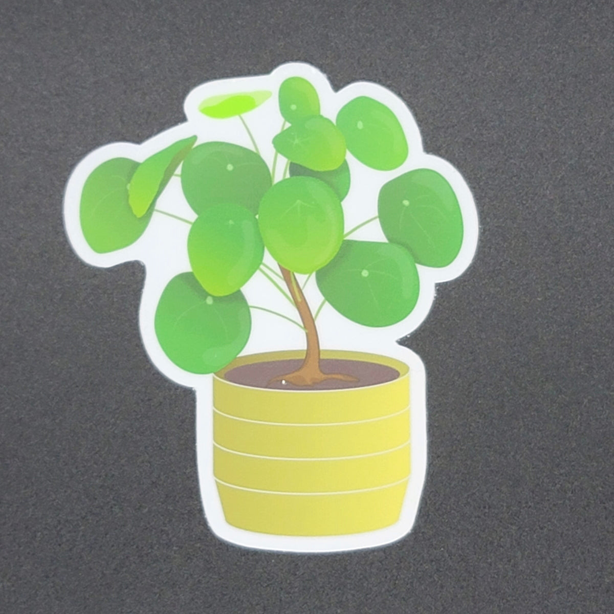 money plant sticker "Natural Style" Chinese Money Plant Sticker