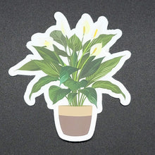 Load image into Gallery viewer, "Natural Style" Peace Lily Sticker