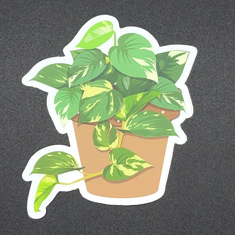 pothos plant vector Natural Style" Pothos Plant Sticker – Wholesale Plant Stickers