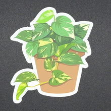 Load image into Gallery viewer, "Natural Style" Pothos Plant Sticker
