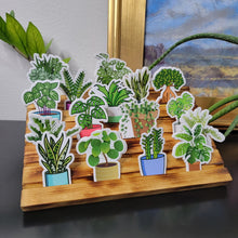 Load image into Gallery viewer, Wooden Sticker Display