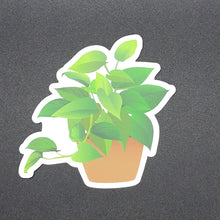 Load image into Gallery viewer, "Natural Style" Pothos Sticker