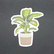 Load image into Gallery viewer, "Natural Style" Dumb Cane Plant Sticker