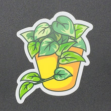 Load image into Gallery viewer, Pothos Plant Sticker
