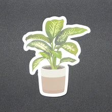 Load image into Gallery viewer, &quot;Natural Style&quot; Dumb Cane Plant Sticker
