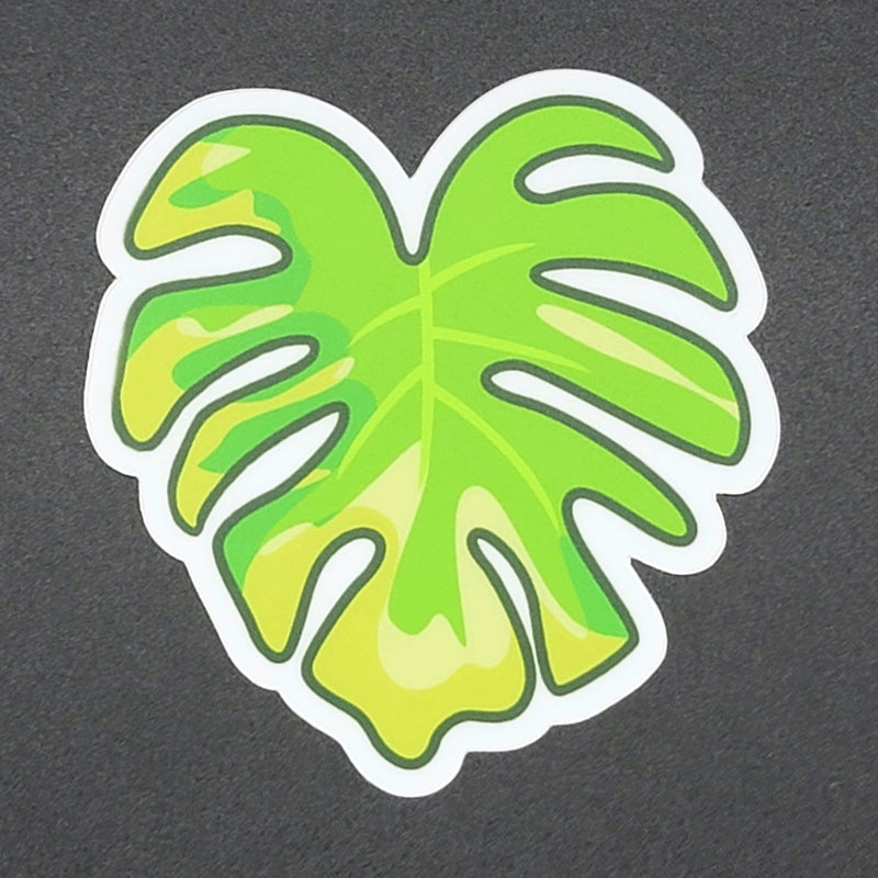 Variegated Monstera Leaf Sticker